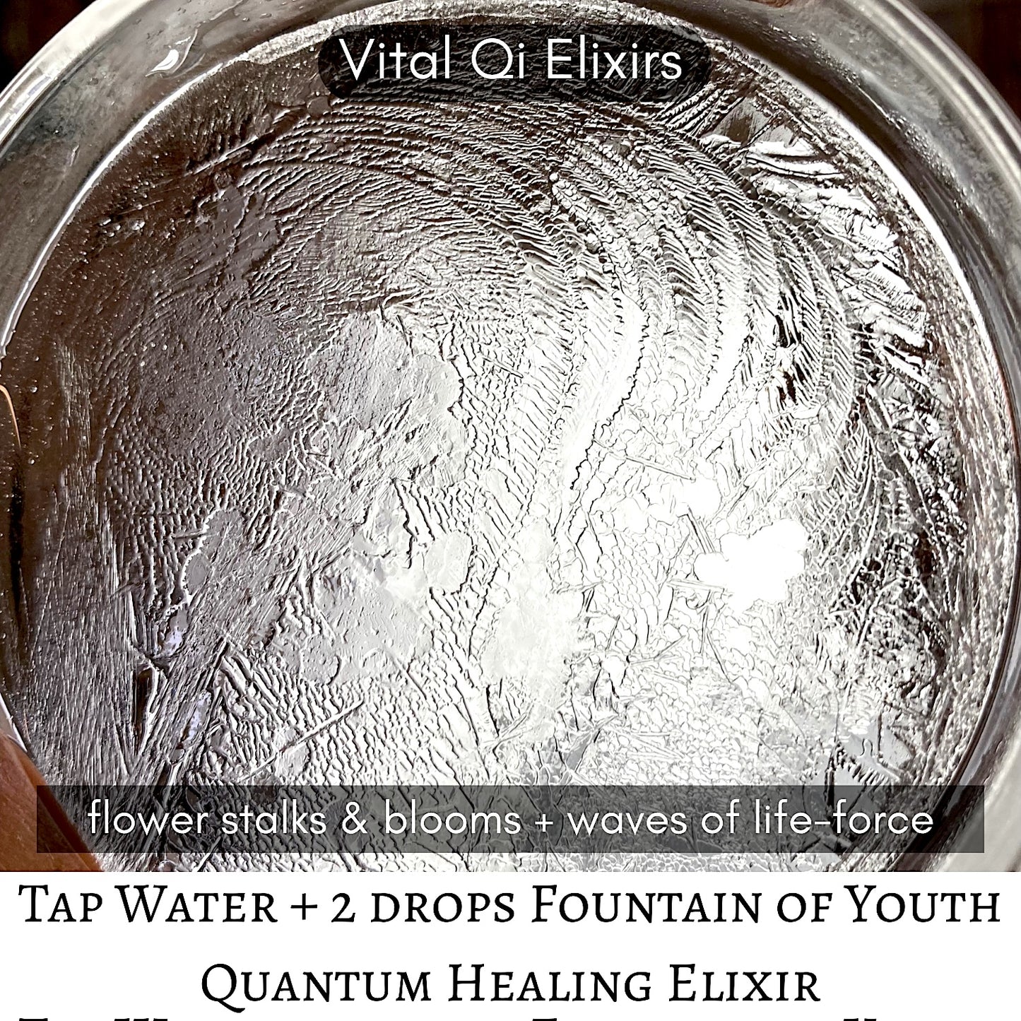 FOUNTAIN OF YOUTH