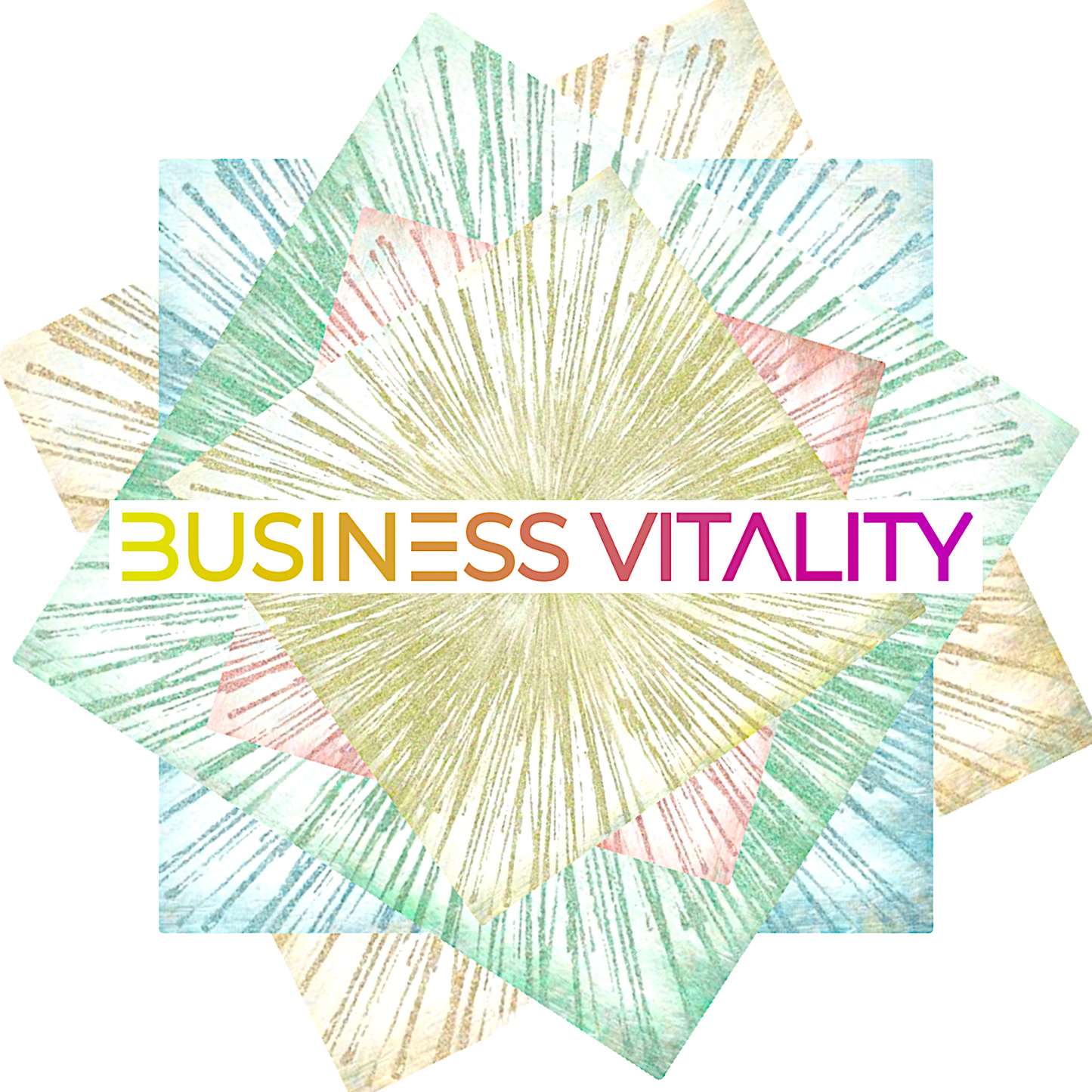 BUSINESS VITALITY - Custom Business Consultations