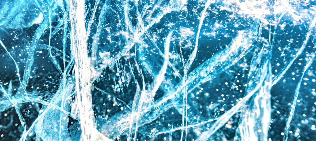 Winter Yin Mental, Emotion, Physical Vitality Surge, and more!