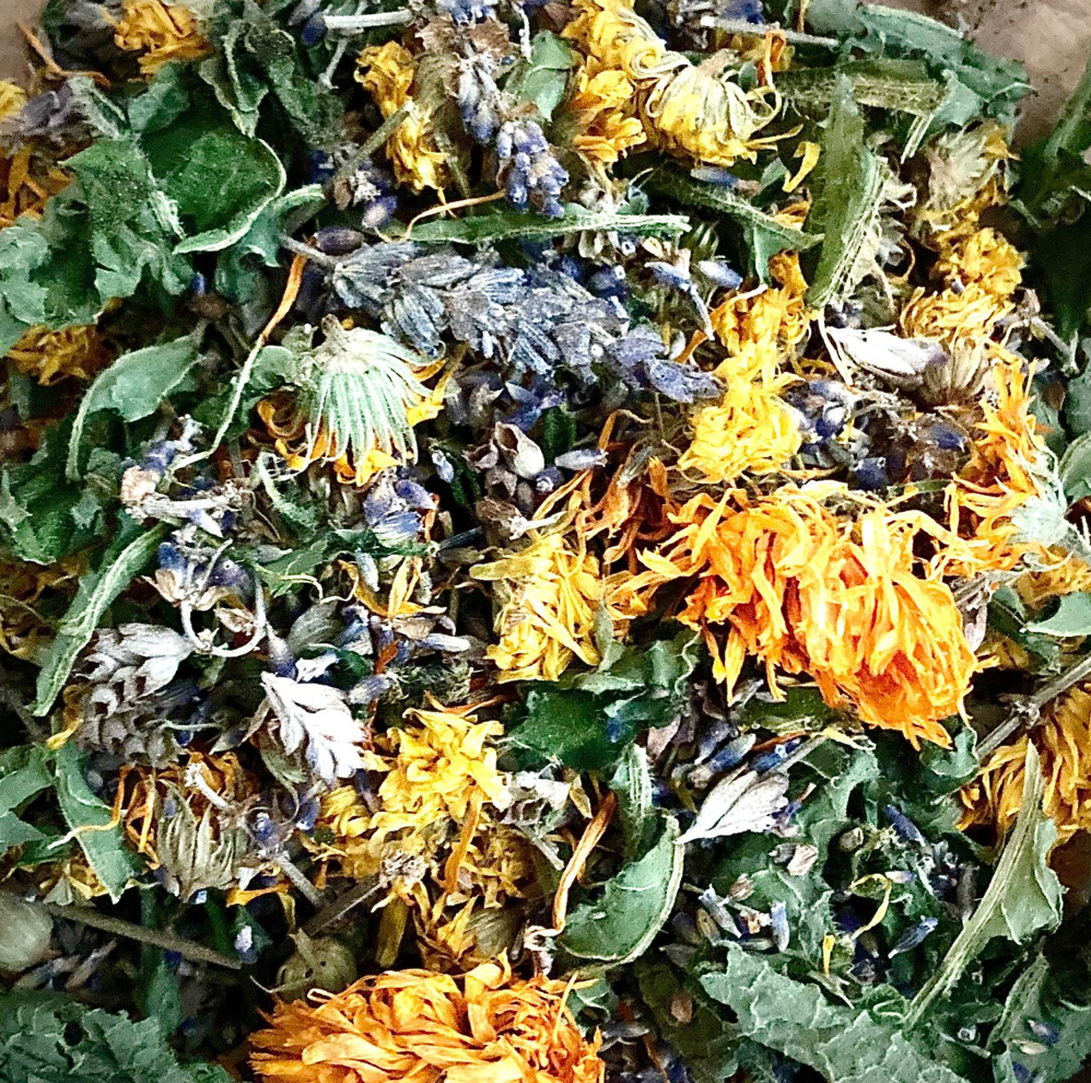 WHITE SAGE HEALING SALVE