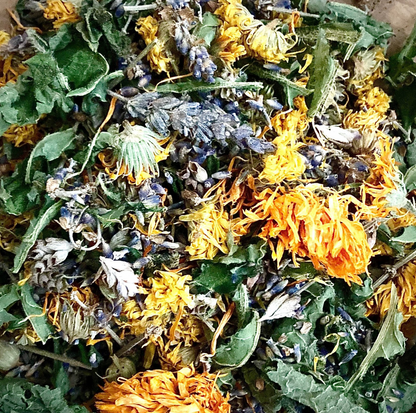 WHITE SAGE HEALING SALVE