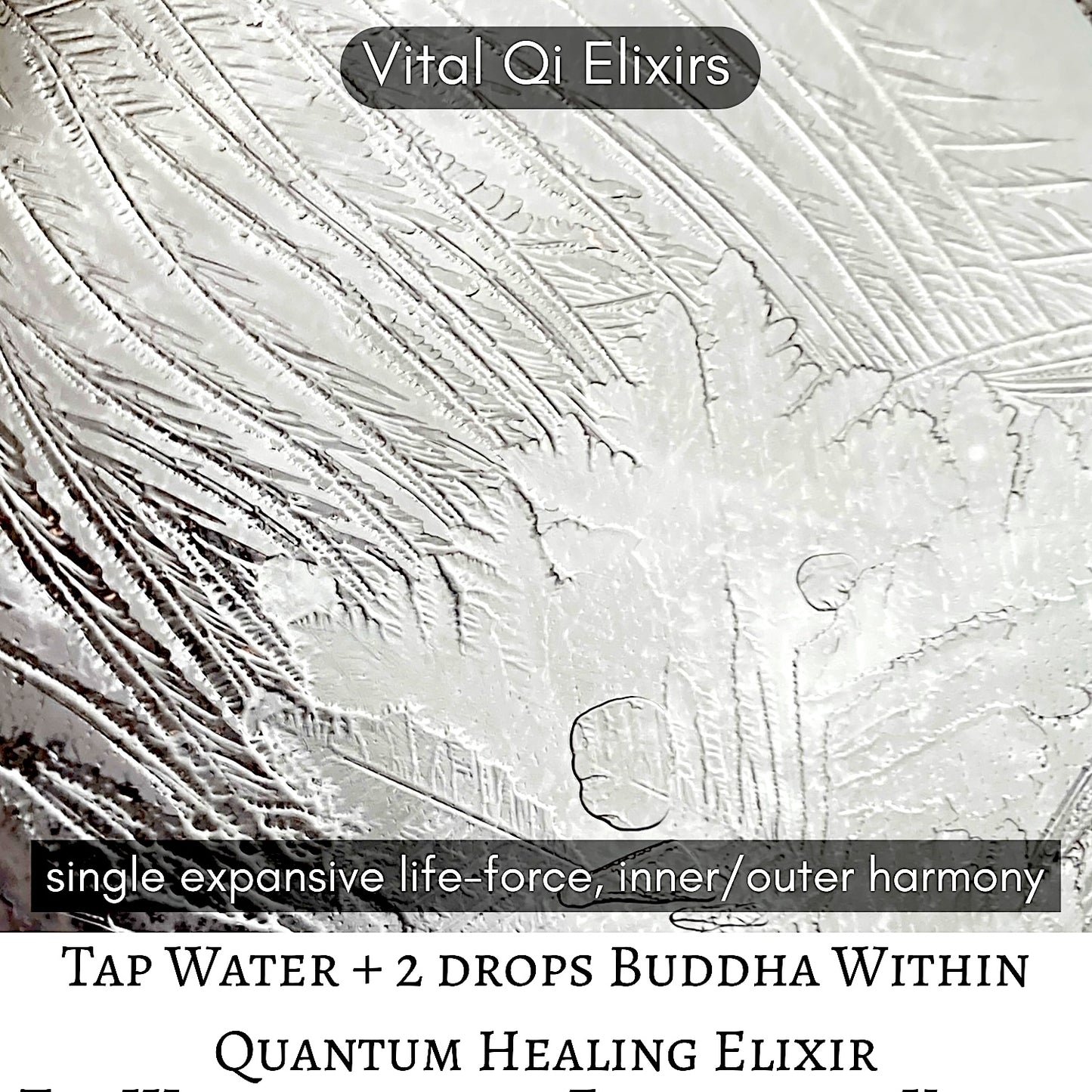 BUDDHA WITHIN ELIXIR