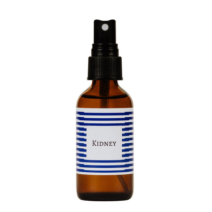 KIDNEY BODY BALANCE