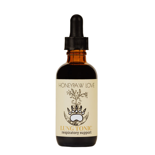 Lung & Respiratory Support Tincture