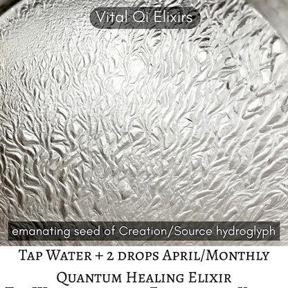 MONTHLY VITAL QI HEALING ELIXIR