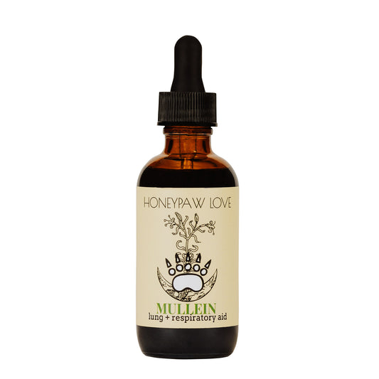 Mullein Lung Tonic Tincture
